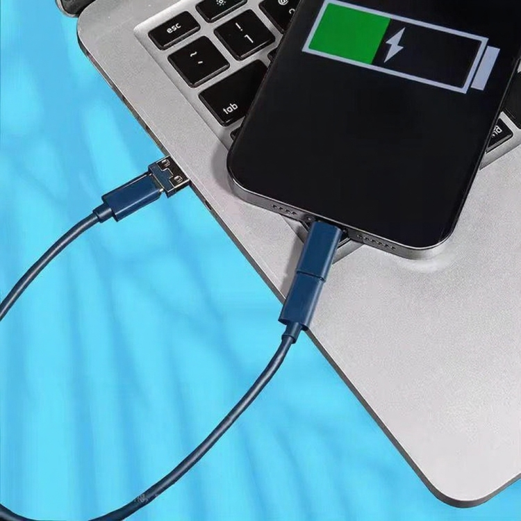 Kit d’adaptateurs 3-en-1 — Boîtier voyage (Lightning / USB-C / Micro-USB) 🔌✨